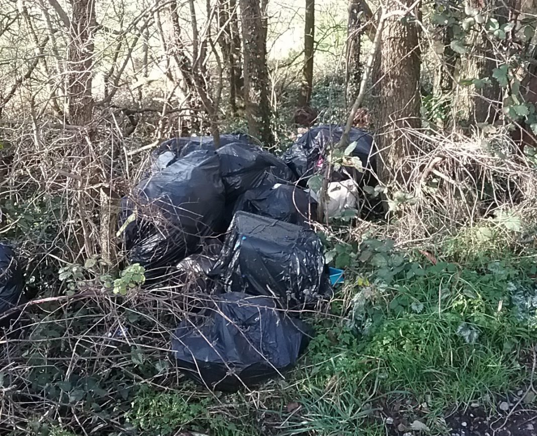 Fly tip