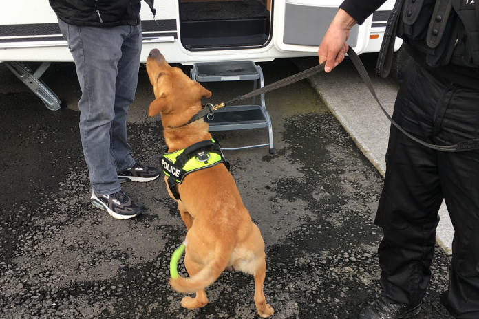 South Gloucestershire Trading Standards, along with Police and a sniffer dog visit a plot linked to the rogue traders.