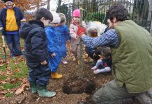 Teachers and children planting new trees