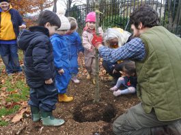 Teachers and children planting new trees