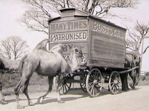 Bostock and Wombwell's Menagerie on Great North Road.