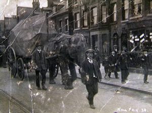 Bostock and Wombwell's elephant pulling cart down a street. 