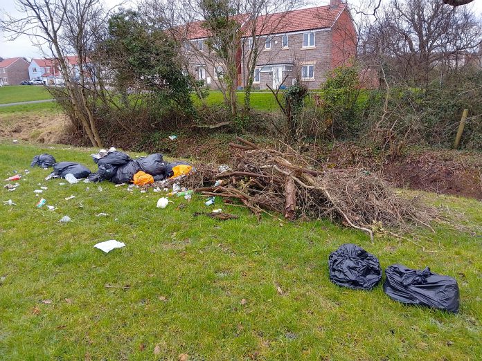Black bin bags dumped on a green space