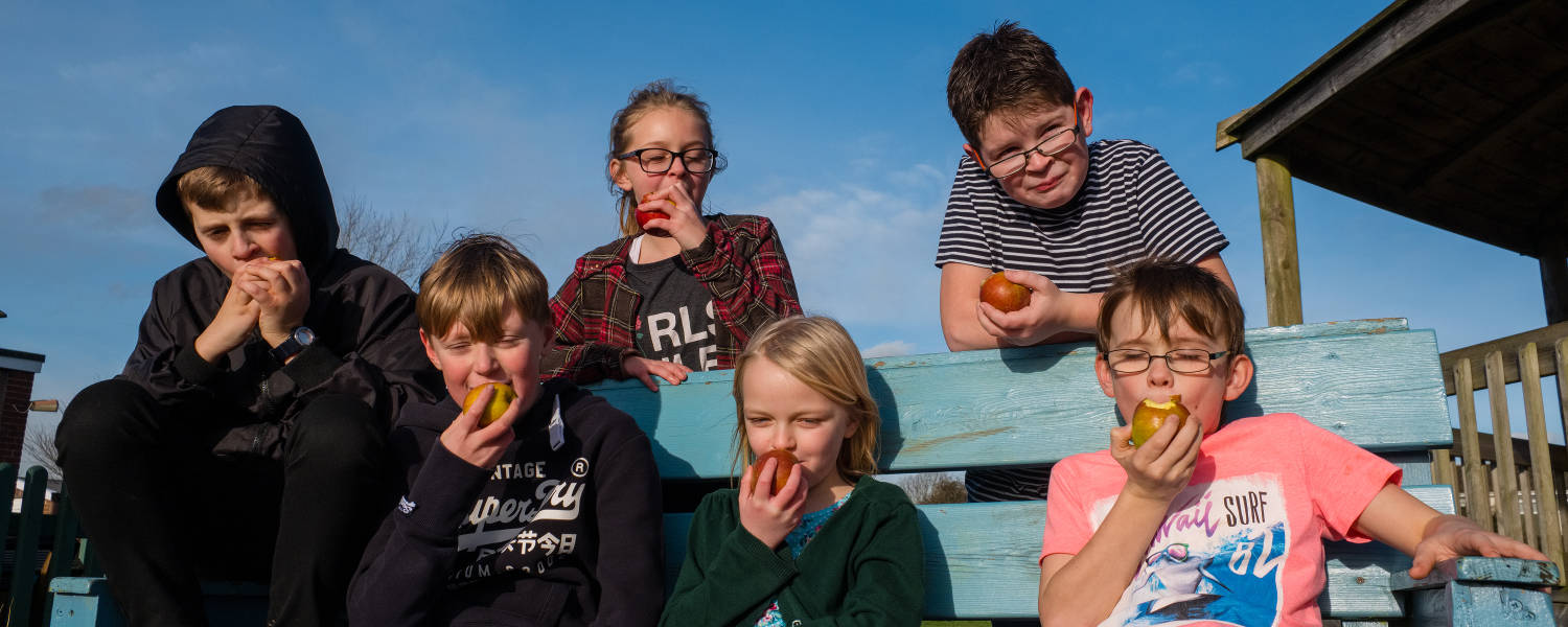 A group of children eating apples