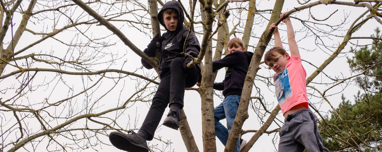 Boys hanging from a tree