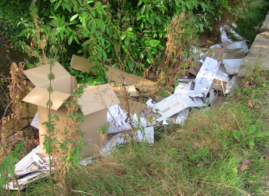 Gardiner fly tip 1