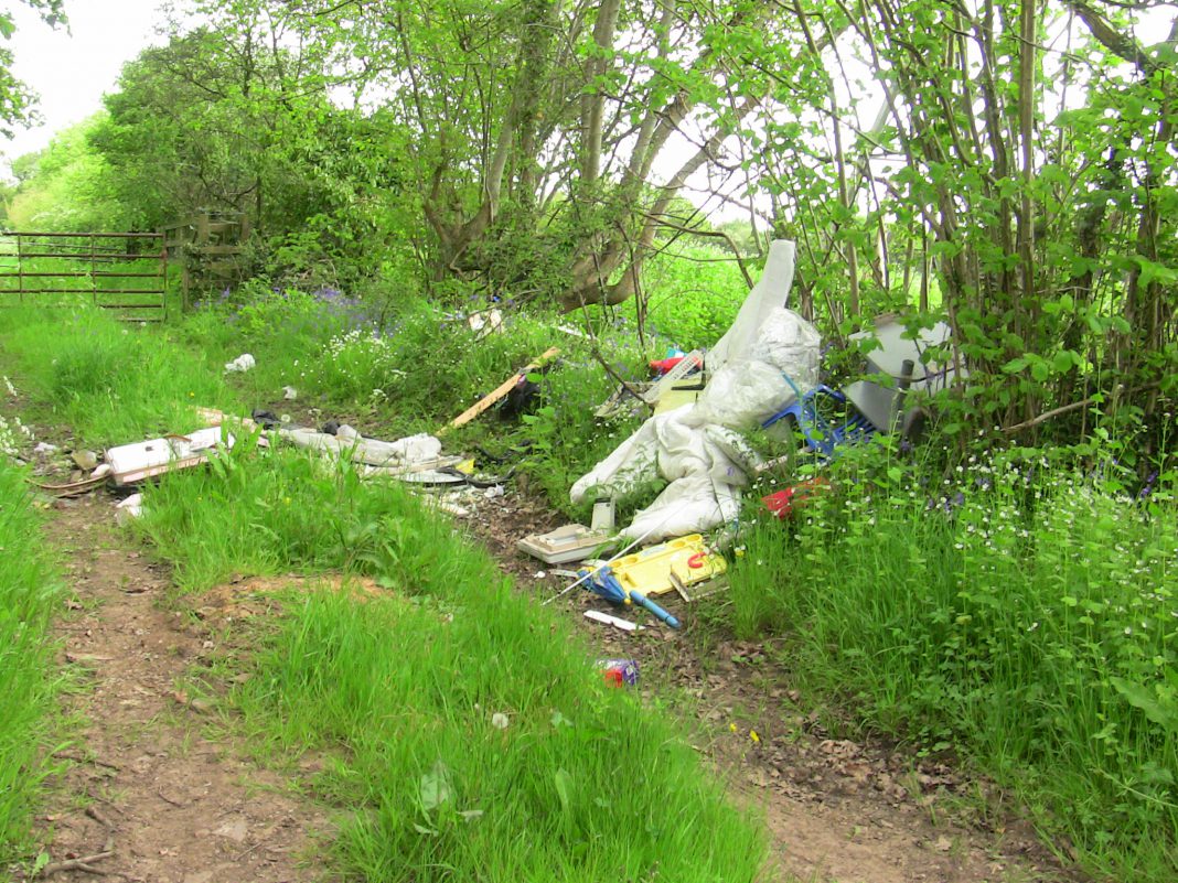 Thomas fly tip