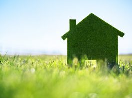 Green ecological house in empty field
