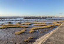 An image of the Sevrnside coast looking out to the Severn Bridge