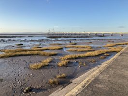 An image of the Sevrnside coast looking out to the Severn Bridge