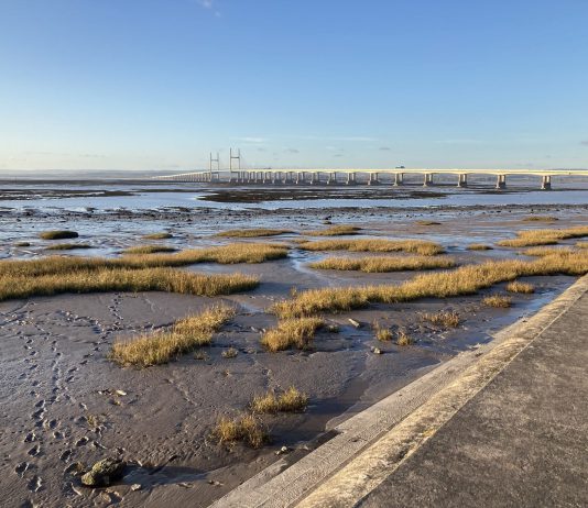 An image of the Sevrnside coast looking out to the Severn Bridge