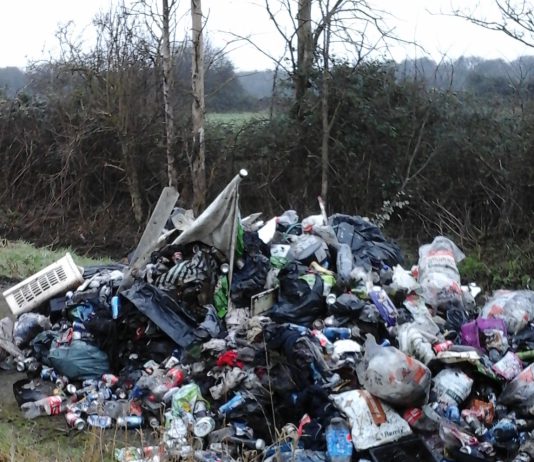 A photograph of the fly-tipped waste discovered in Severn Beach