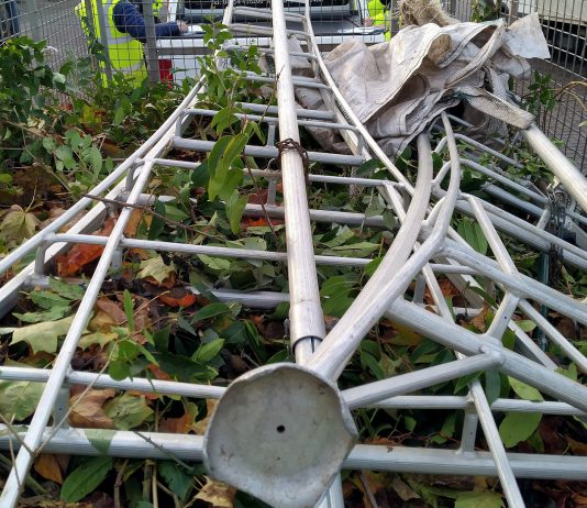 An image of green waste on a trailer