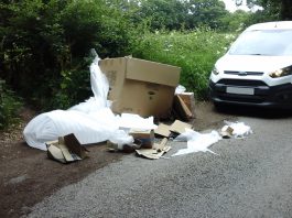 An image of cardboard boxes and packaging waste fly-tipped on the roadside