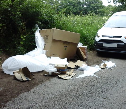 An image of cardboard boxes and packaging waste fly-tipped on the roadside