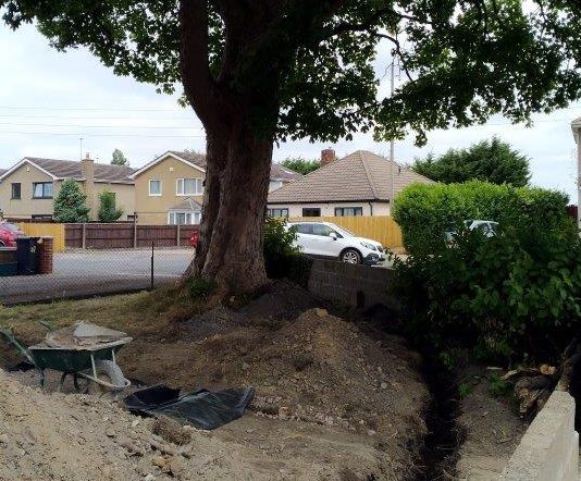 A photograph of the damaged Sycamore tree, a trench and a pile of damaged roots
