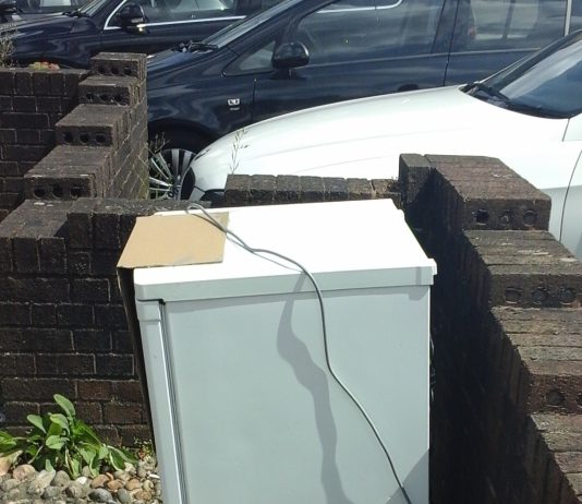 An image of the fly-tipped freezer