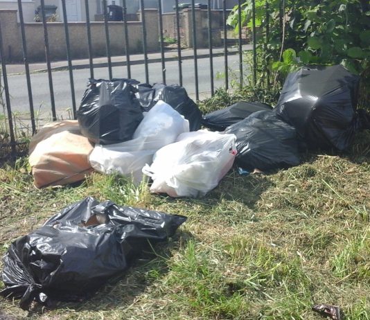 Dumped bags of rubbish