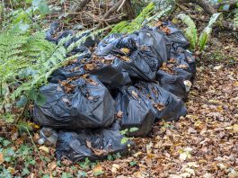 A stock image of black bin bags