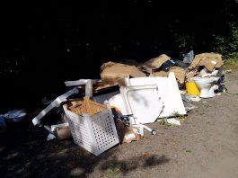 Fly-tipped waste at Serridge Lane