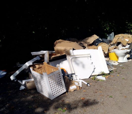 Fly-tipped waste at Serridge Lane