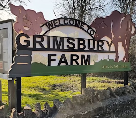 Welcome to Grimsbury Farm