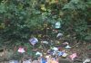 Fly-tip next to the railway line, North Street, Oldland Common.