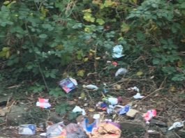 Fly-tip next to the railway line, North Street, Oldland Common.