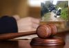 Gavel and judge