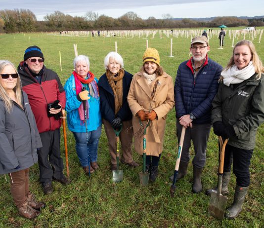 Planting at the new woodland in Pucklechurch. November 2025.